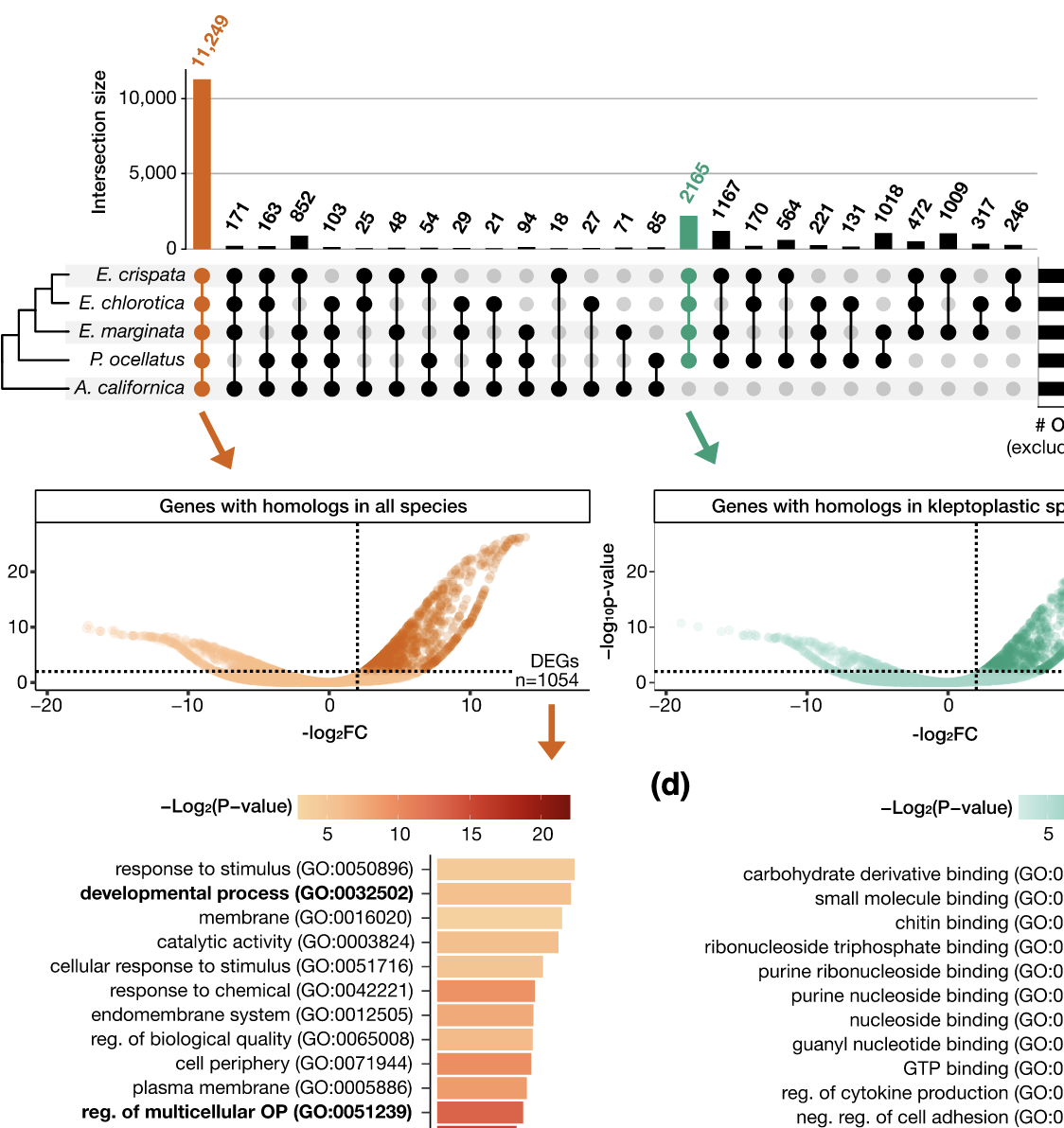 figure from Eastman et al. 2024